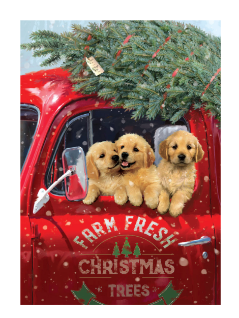 MINI BOXED CHRISTMAS CARDS