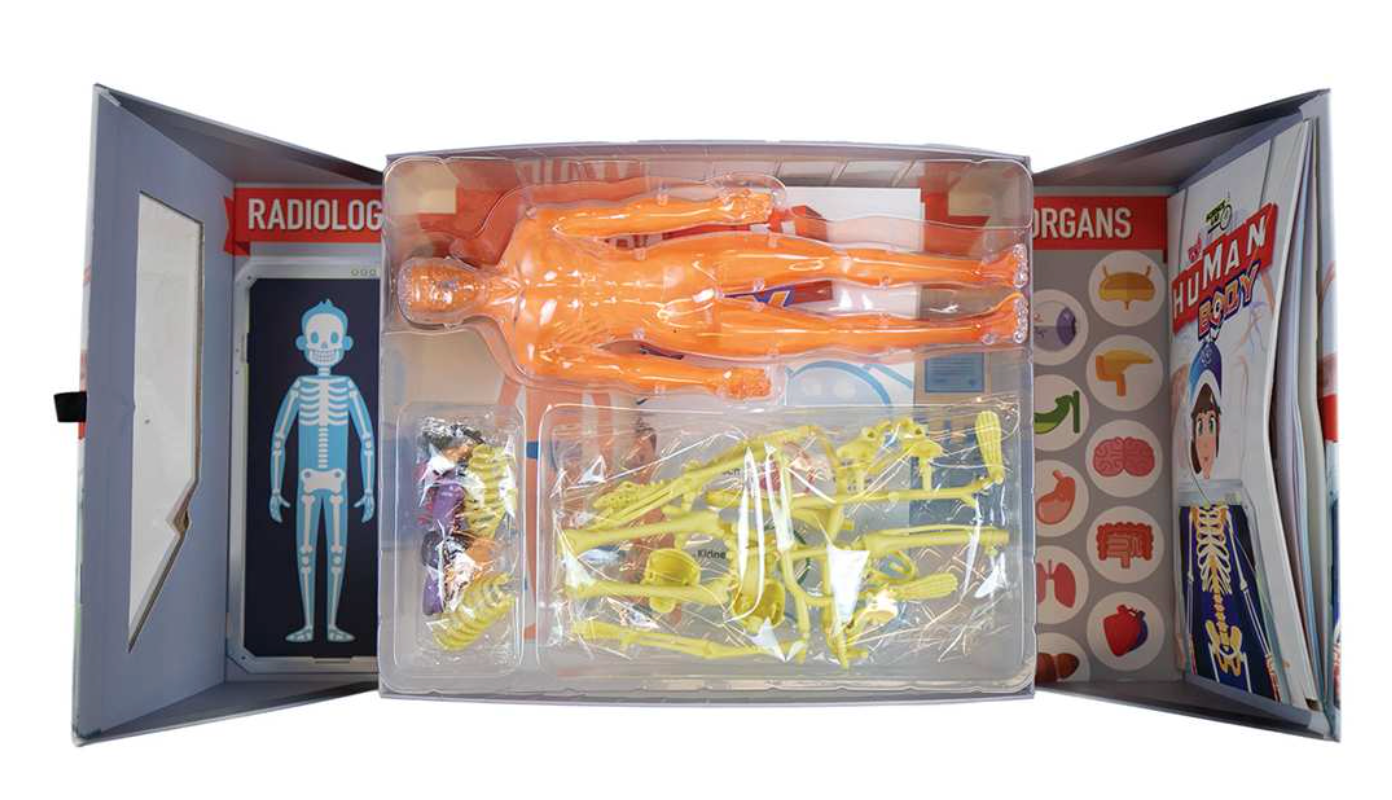 Science Lab - Human Body Kit