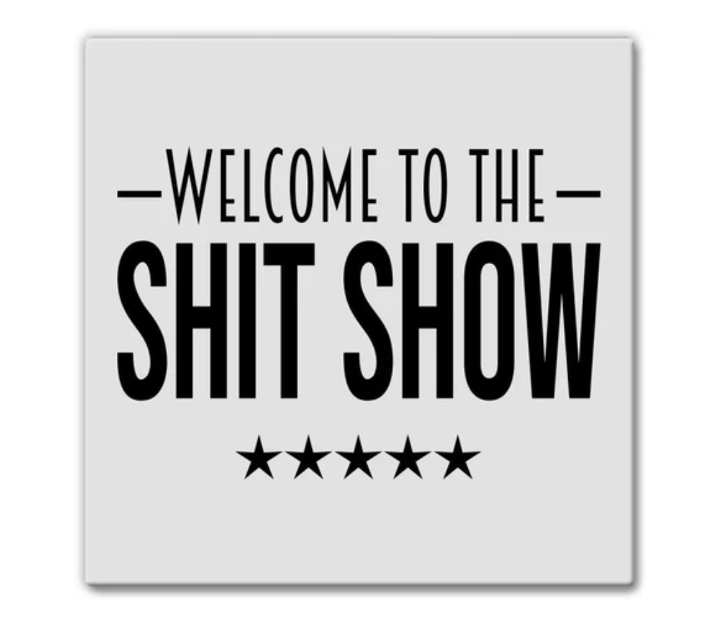 Welcome To The Shit Show | Magnet