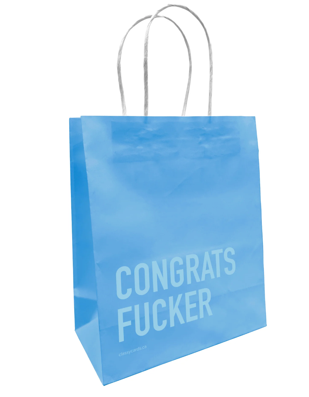 Classy Bags NEW